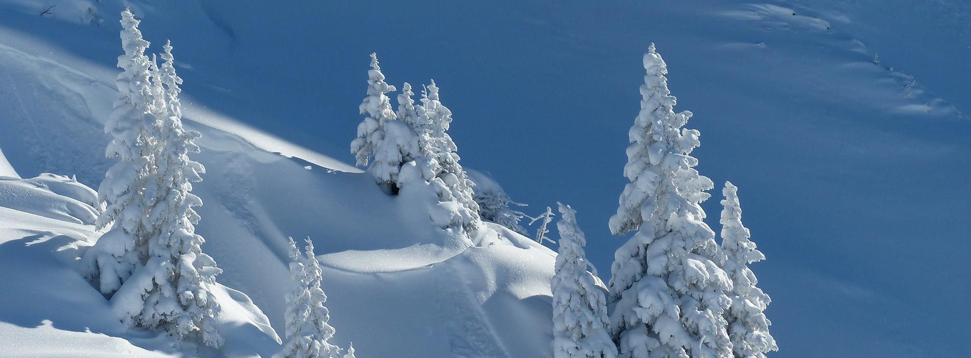 Skischule Hörburger im Allgäu